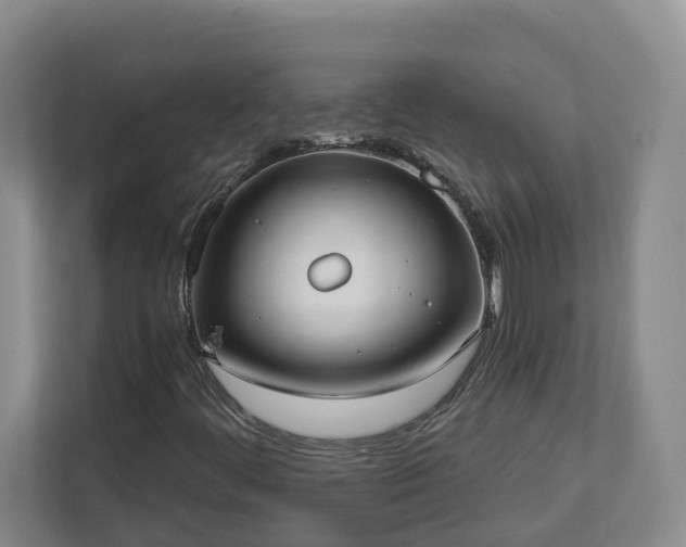 X0000113021444200909031222