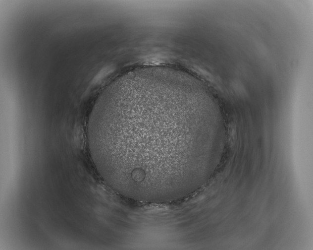 X0000113021446200909031222