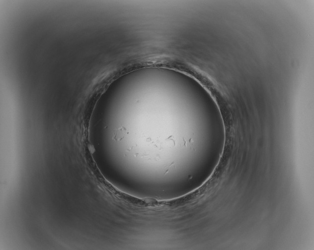 X0000113021447200909031222