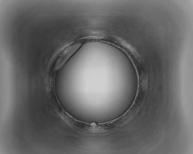 X0000113021448200909031222