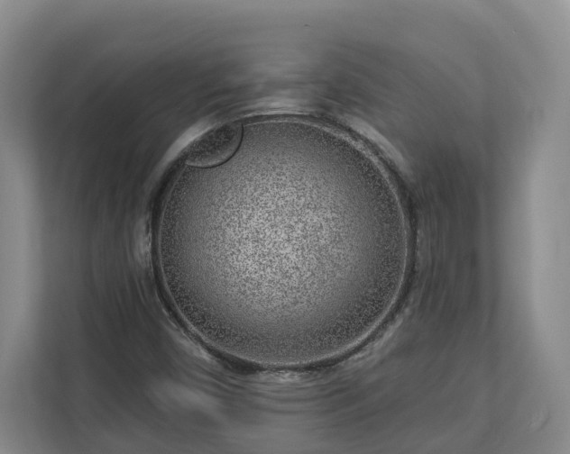 X0000113021450200909031222