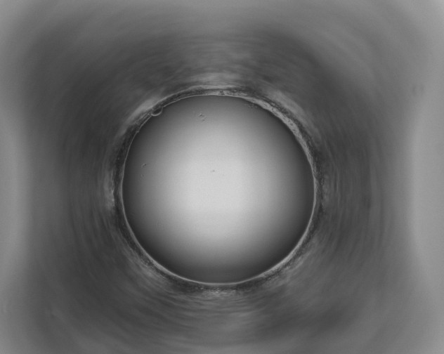 X0000113021451200909031222