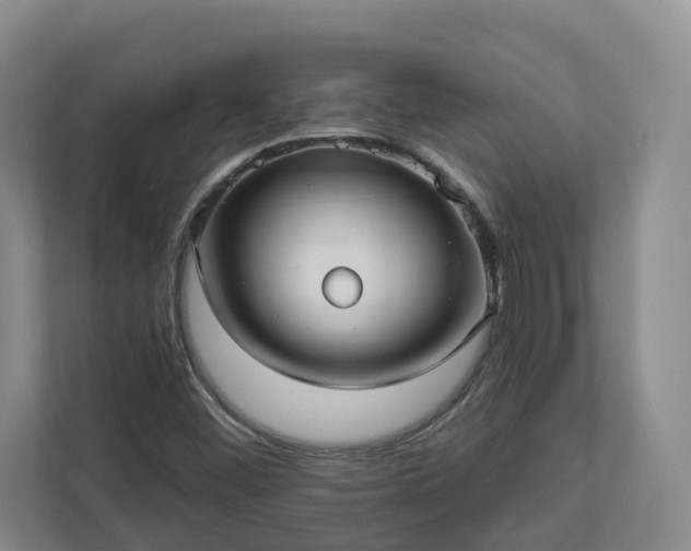 X0000113021452200909031222