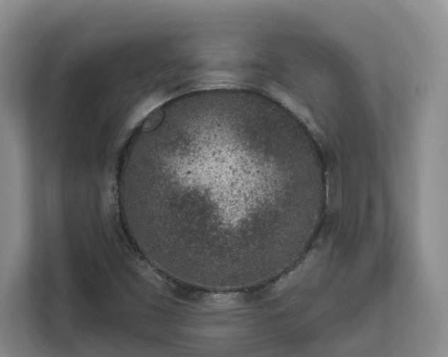 X0000113021453200909031222