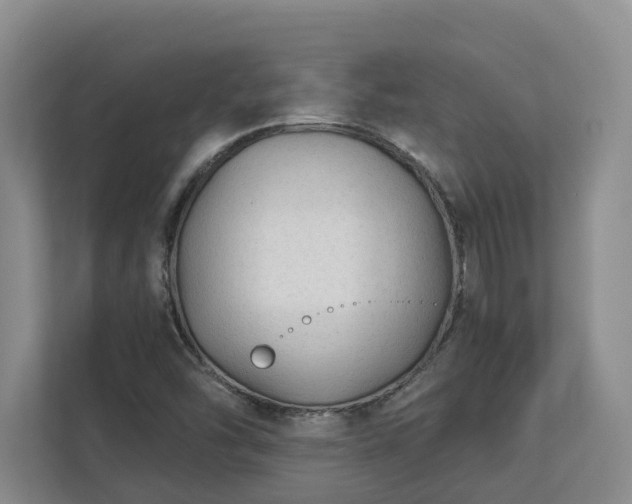 X0000113021454200909031222