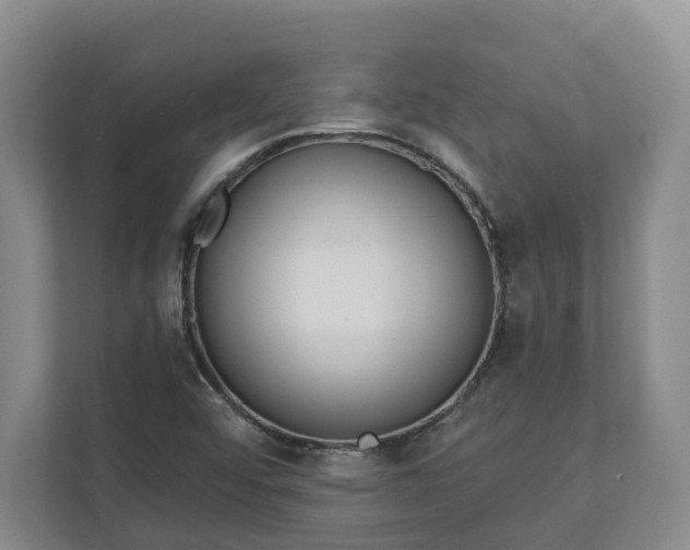X0000113021456200909031222