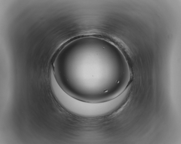 X0000113021457200909031222