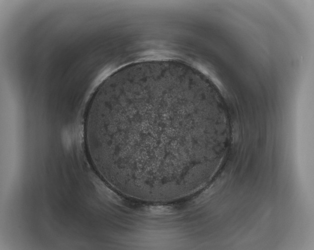 X0000113021459200909031221