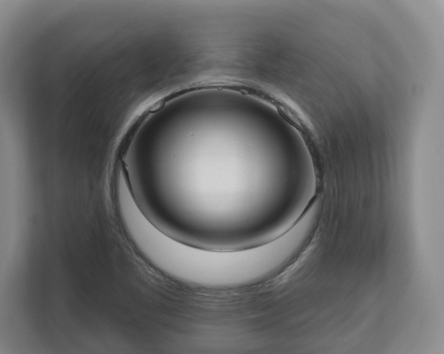 X0000113021461200909031221