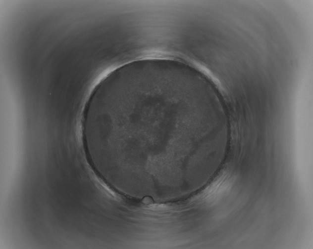 X0000113021463200909031221
