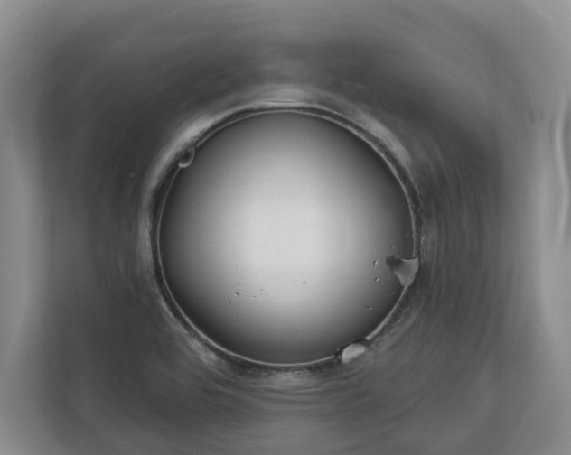 X0000113021464200909031221