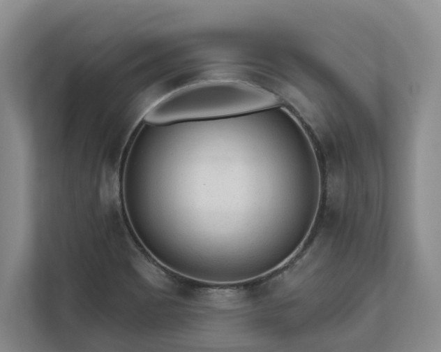 X0000113021465200909031221