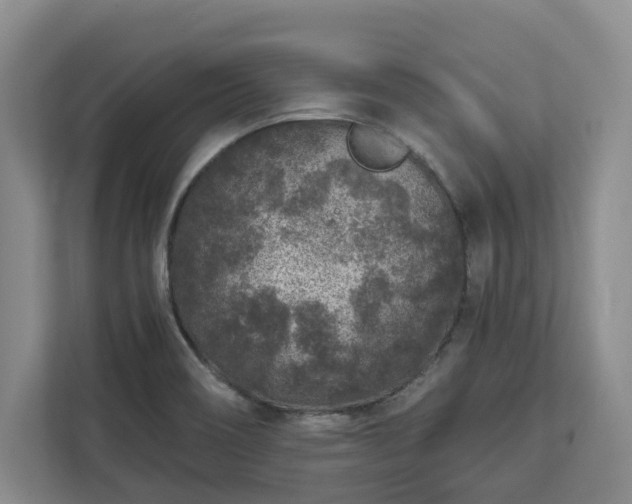 X0000113021466200909031221