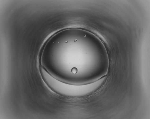 X0000113021468200909031221