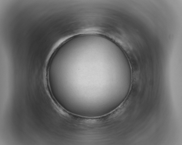 X0000113021470200909031221