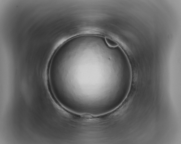 X0000113021471200909031221