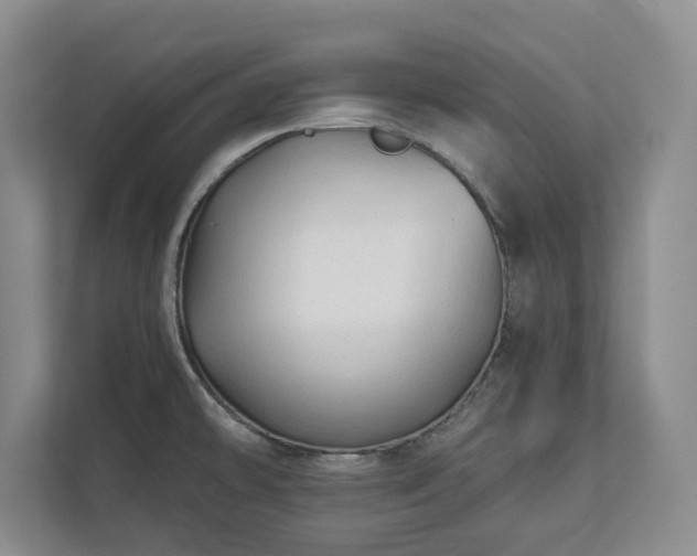 X0000113021478200909031221