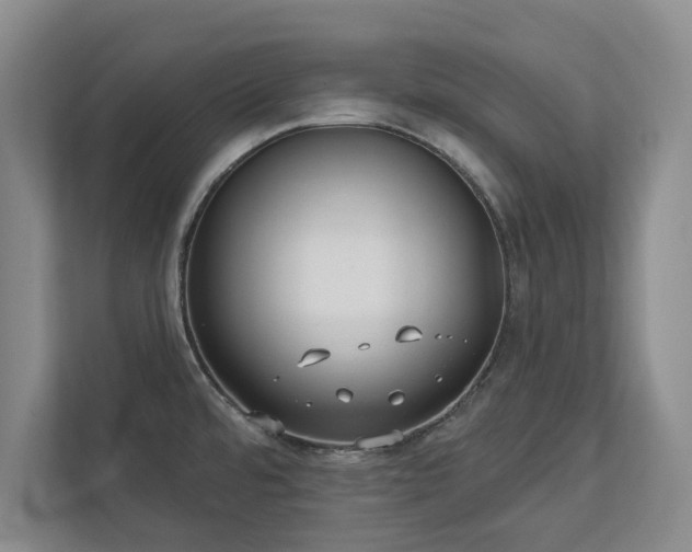 X0000113021480200909031221