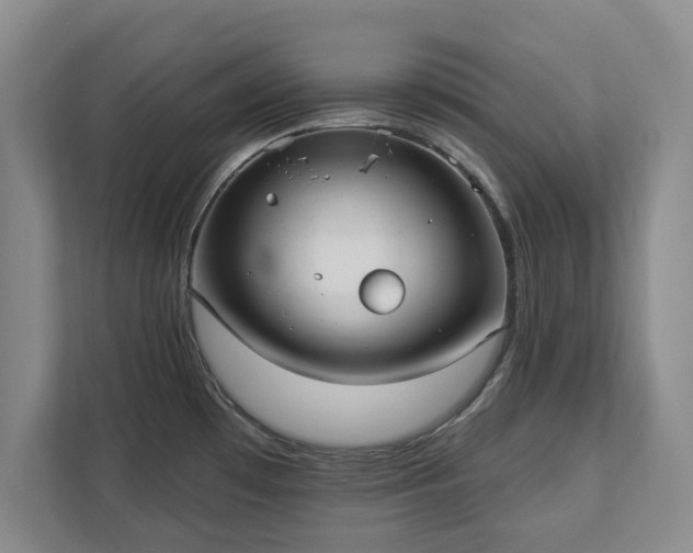 X0000113021481200909031221