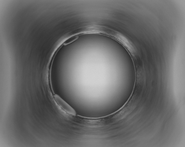 X0000113021484200909031221