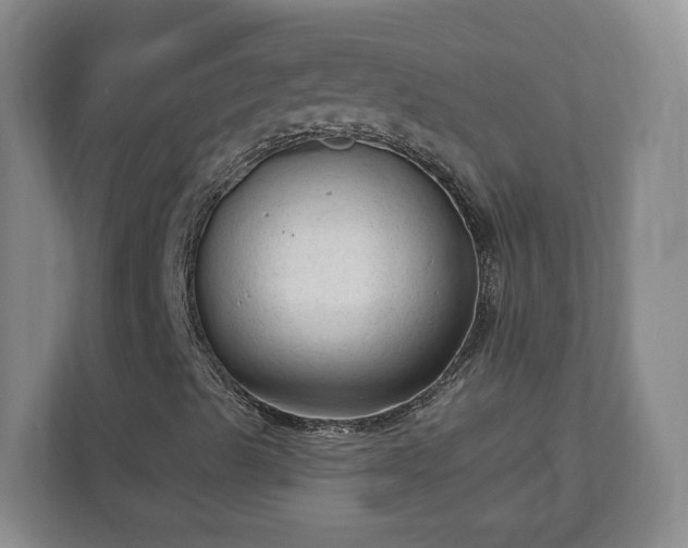 X0000113021489200909031220