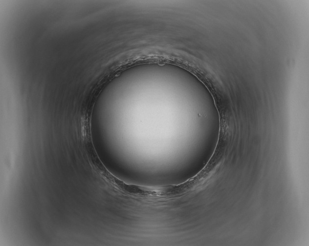 X0000113021490200909031221