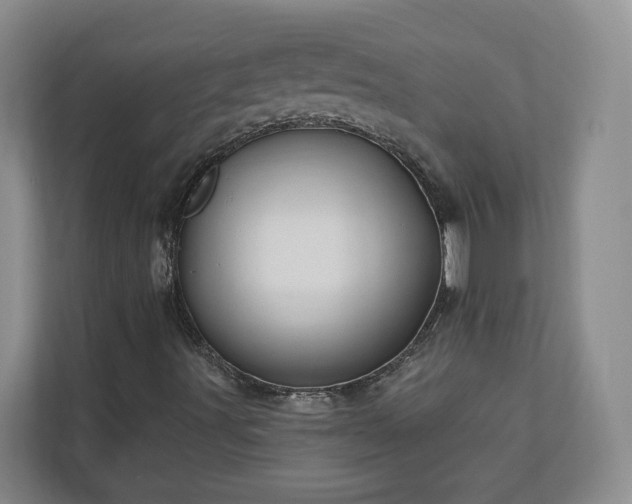 X0000113021491200909031221