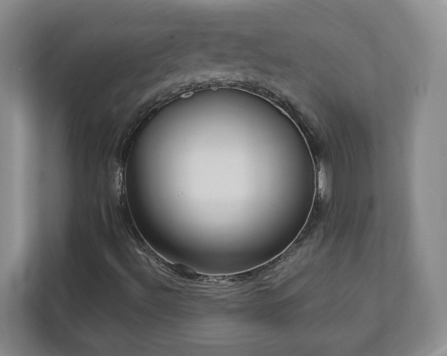 X0000113021492200909031221