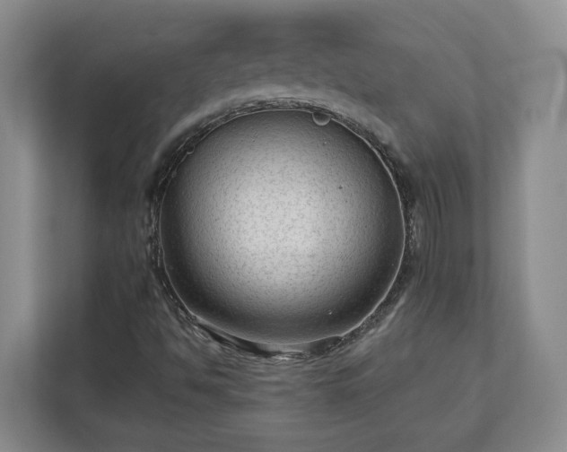 X0000113021494200909031221