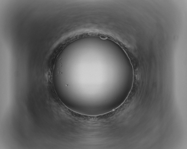 X0000113021495200909031221