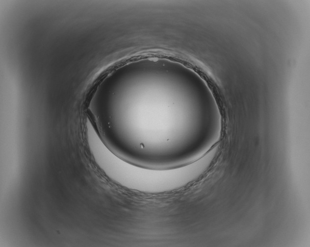 X0000113021496200909031221