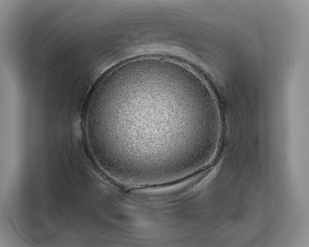 X0000113021497200909031221