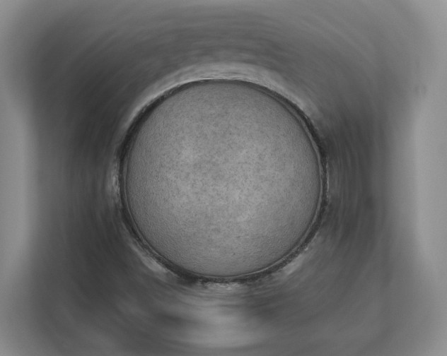 X0000113021498200909031221