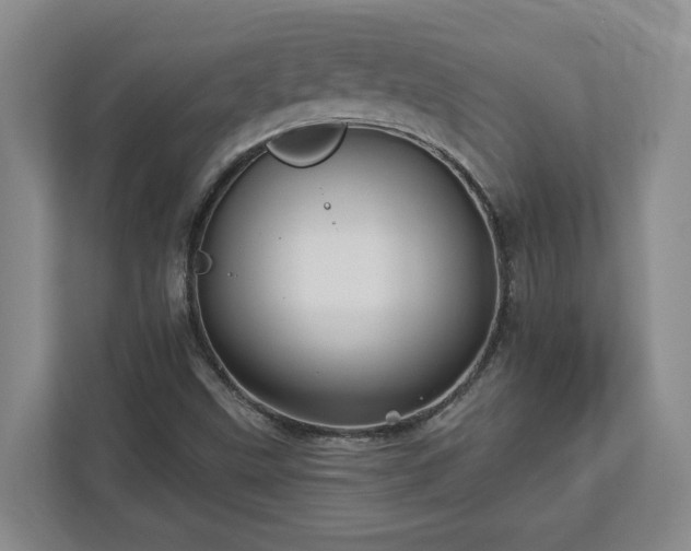 X0000113021499200909031221