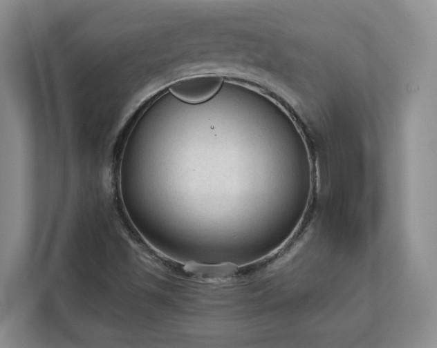 X0000113021501200909031221