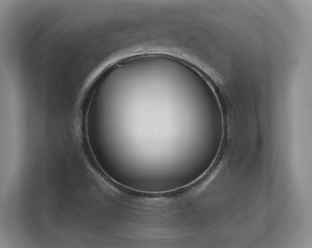 X0000113021502200909031221