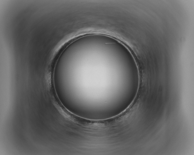 X0000113021503200909031221