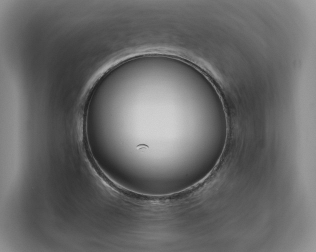 X0000113021504200909031221