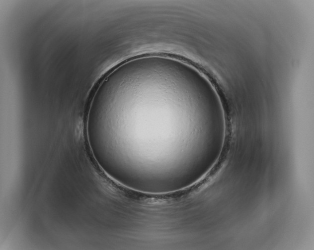 X0000113021505200909031221