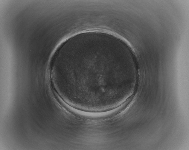 X0000113021506200909031221