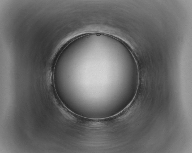 X0000113021507200909031221