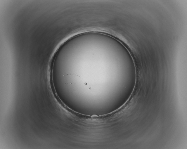 X0000113021508200909031221