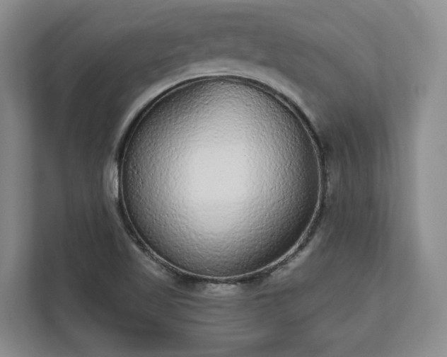 X0000113021509200909031221