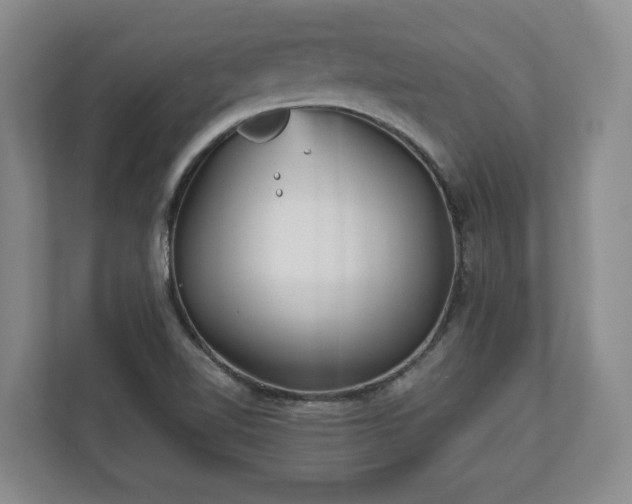 X0000113021510200909031221