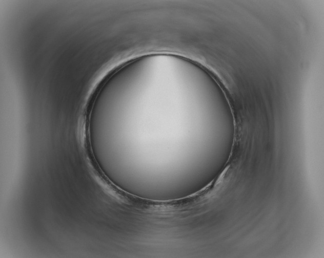 X0000113021511200909031221