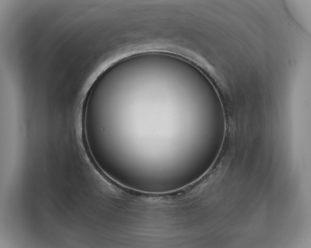 X0000113021512200909031221