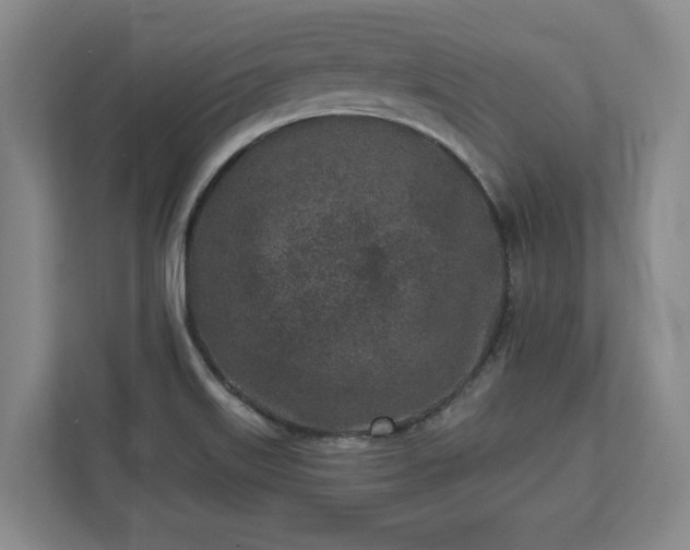 X0000113021515200909031221