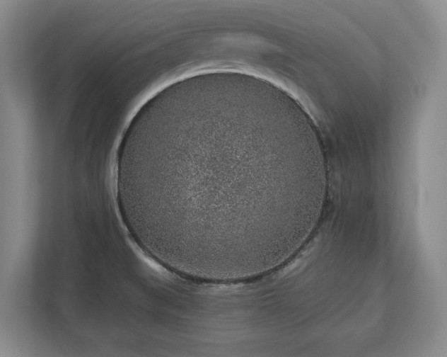 X0000113021519200909031221