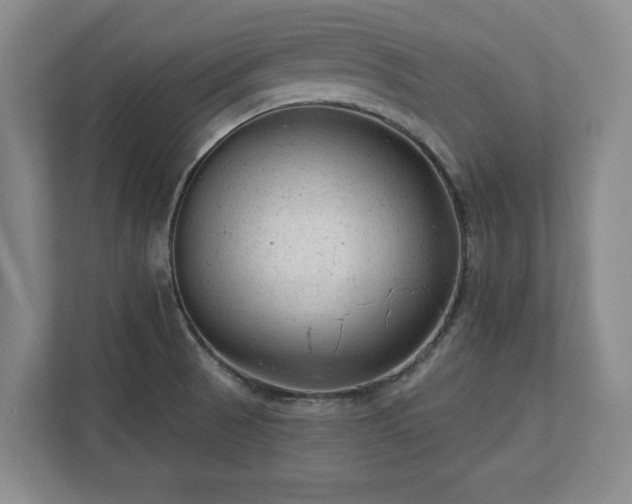 X0000113021521200909031221