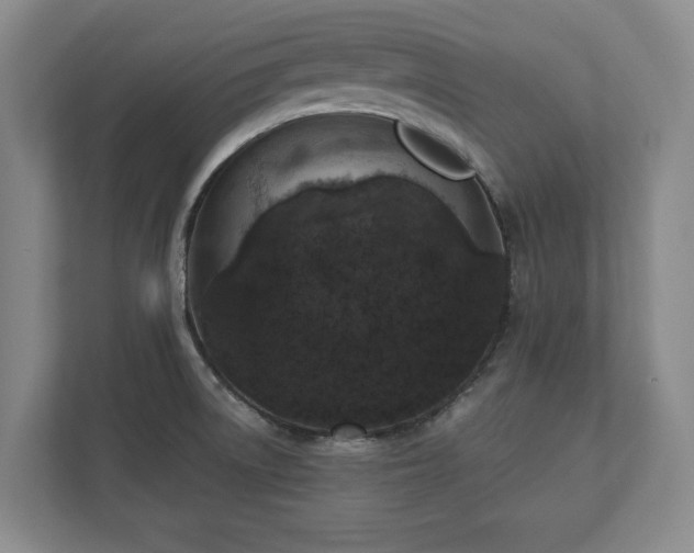 X0000113021522200909031221